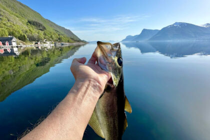 Hånd som holder opp en fanget fisk, med sjøen i bakgrunnen.